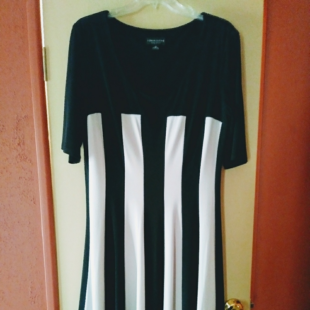 Black and Beige Dress
